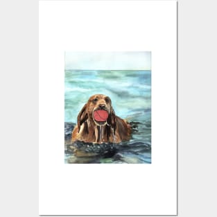 Dog with Ball in the Water Watercolor Art Posters and Art